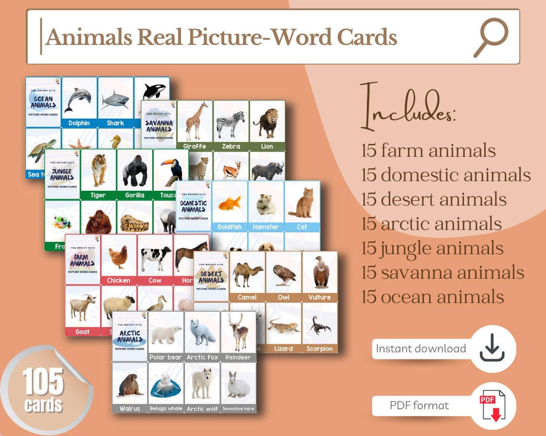 Animal Printable Picture word Cards Set (105 Cards) Animal Habitat