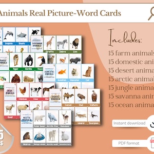 Animal Printable Picture-Word Cards Set (105 cards) | Animal Habitat Flashcards | Educational Flashcards Set | Homeschool | Preschool |Pre-K