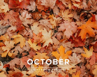 Lightroom Presets - October | Warm Fall Tones, Autumn Presets, Fall Leaves, Nature and Portrait Photography Filters – Mobile & Desktop