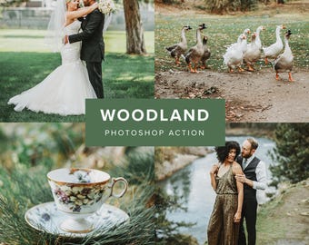 Photoshop Action – Woodland // Moody Forest Tones, Earthy Wedding Photo Filter, Outdoor Photography, Photo Filter