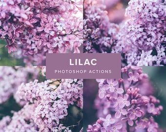 Photoshop-acties - Lila // Paars, Sfeervolle tint, Lavendel, Macrofotografie, Fotofilters