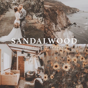 Sandalwood Photoshop Action // Vintage Wedding, Vintage Nature, Rustic, Beige Tone, Brown Tone