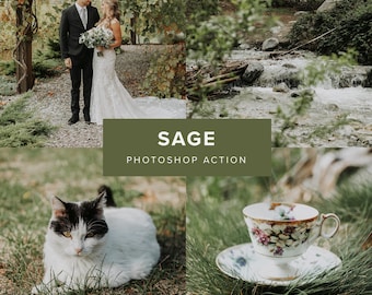 Photoshop Action - Sage // Earthy, Natural & Organic Tones for Wedding and Nature Photography, Photo Filter