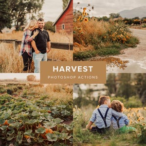 Puede incluir: Un collage de cuatro fotografías con escenas al aire libre e iluminación cálida, incluyendo una pareja cerca de un granero rojo, girasoles junto a una carretera, un campo de calabazas y dos niños, con el texto HARVEST PHOTOSHOP ACTIONS centrado.