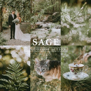 Sage Photoshop Action // Green Tone, Nature Action, Spring Tones, Sage Green, Earthy Tones, Soft Tones