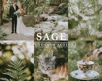 Sage Photoshop Action // Green Tone, Nature Action, Spring Tones, Sage Green, Earthy Tones, Soft Tones