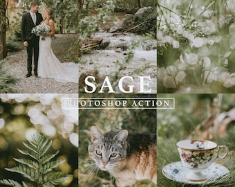 PHOTOSHOP ACTION - Sage // Green Tone, Nature Action, Spring Tones, Sage Green, Earthy Tones, Soft Tones