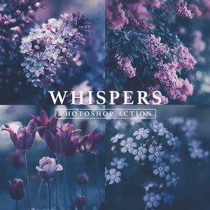 Whispers Photoshop Action // Dark & Moody, Moody Tone, Moody Nature, Moody Blue, Nature Action, Moody Action