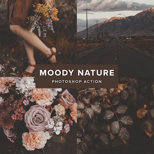 May include: A digital product display featuring four panels showing a bouquet of wildflowers, a mountain road at dusk, a floral arrangement of roses and carnations, and dark green leaves, with the text MOODY NATURE PHOTOSHOP ACTION in the center.