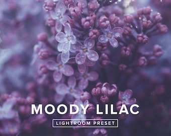Lightroom Preset - Moody Lilac | Moody Nature and Floral Photography Filter – Mobile & Desktop