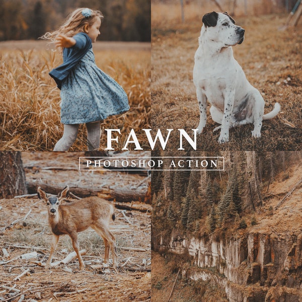 Fawn Photoshop Action // Warm Tone, Rustic, Beige, Brown Tone, Nature Action