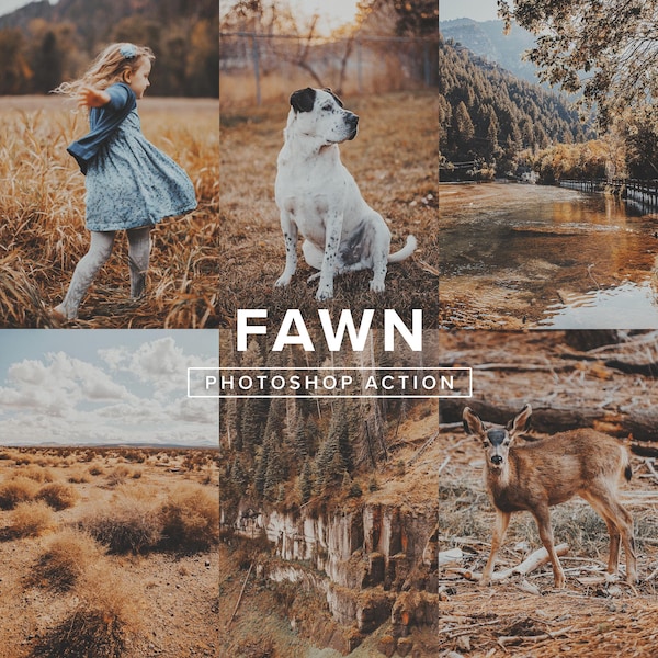 PHOTOSHOP ACTION – Fawn // Warm Rustic Tones, Moody Nature, Golden, Landscape Photography