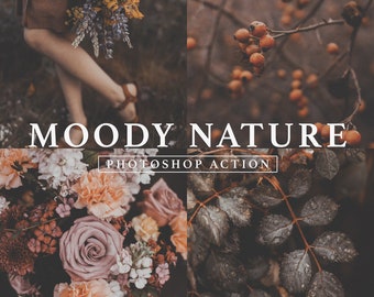 Moody Nature Photoshop Action // Dark & Moody, Moody Tones, Moody Nature, Nature Action, Moody Portrait, Brown Tone