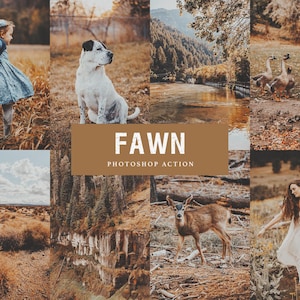 PHOTOSHOP ACTION – Rehbraun // Warme Rustikale Töne, Stimmungsvolle Natur, Golden, Landschaftsfotografie