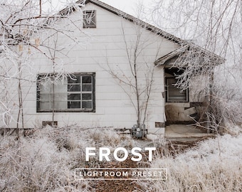 Lightroom Preset – Frost | Soft Washed Winter Tones, Nature and Portrait Photo Filter – Mobile & Desktop