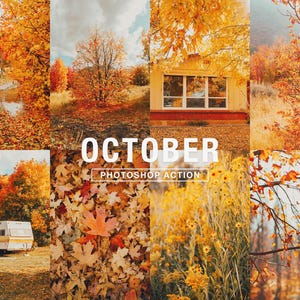 Photoshop Action – October // Golden, Autumn Tones, Fall Effects, Nature Action, Landscape Photography