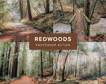 Photoshop Action – Redwoods // Earthy Tone Landscape Photo Filter