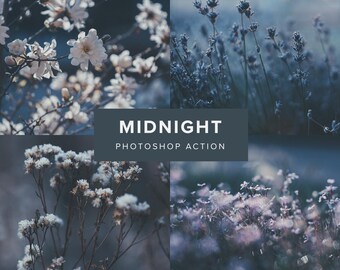 Photoshop Actions – Midnight // Moody Nature, Blue Tones, Dark and Moody, Nature Actions, Photo Filters