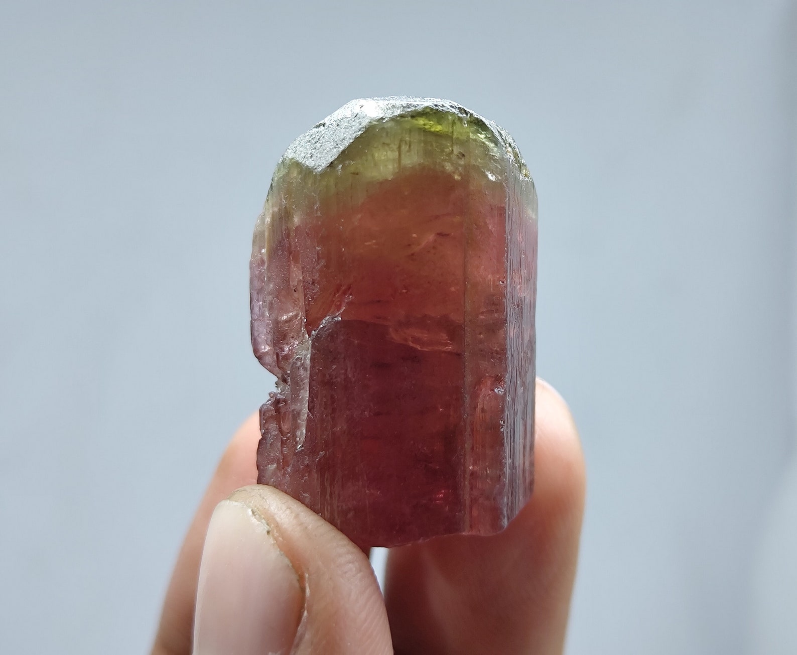 Terminated Colorful Terminated Bi Color Natural Rubellite Tourmaline Crystal/ 96.4 Carats ...