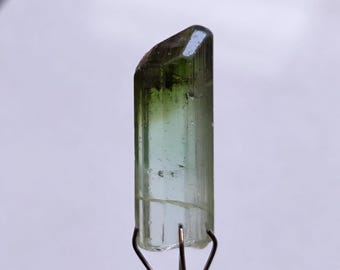 May include: A raw, elongated tourmaline crystal featuring a vertical color gradient that transitions from a deep, saturated forest green at the top to a pale, translucent mint green at the base, held by a simple silver-toned metal wire prong setting.