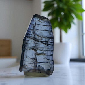 May include: A tall, irregularly shaped, translucent blue crystal with dark linear inclusions. The crystal is set against a blurred background with a white pot, a plant, and a window. The crystal's base is a pale yellow color.