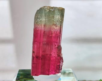 Bi-Color Rubellit Turmalin Kristallmuster (Bi Color Pink) - 6,2 Gramm 30x12x9mm