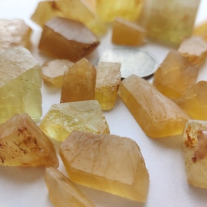 Puede incluir: Una colecci&oacute;n de cristales de color amarillo y &aacute;mbar, algunos con un ligero tono rojizo, esparcidos sobre una superficie blanca.