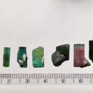 May include: A collection of six green, pink, and black tourmaline crystals on a white surface with a ruler for scale. The crystals are all different sizes and shapes.