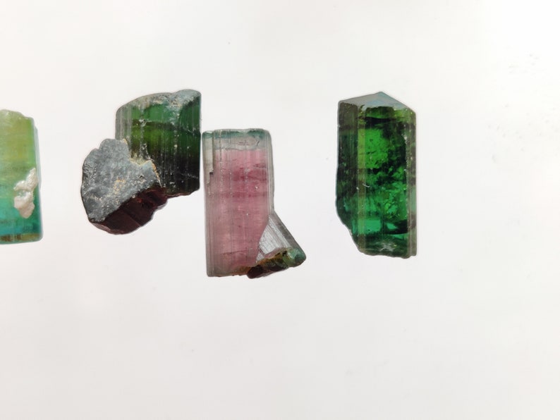 May include: Four green, pink, and black tourmaline crystals on a white background. The crystals are all different shapes and sizes.