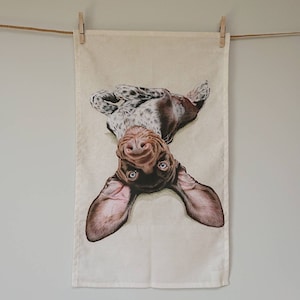May include: A kitchen tea towel featuring a printed image of a brown and white dog. The dog is upside down and has its tongue sticking out. The dog has brown eyes and a black nose.