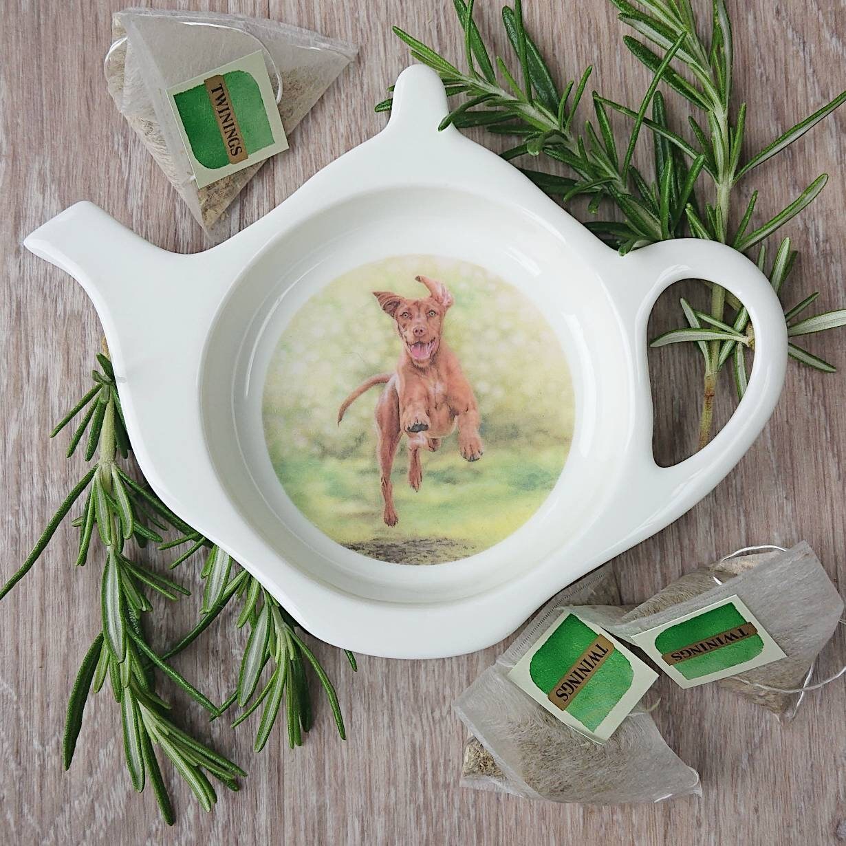 Hungarian Wire Haired Vizsla Gift Dog Tea Bag Tidy From the Etsy UK
