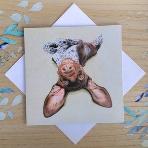 May include: A greeting card featuring a brown and white dog with floppy ears, looking up at the camera with a playful expression. The dog is lying on its back with its legs in the air.