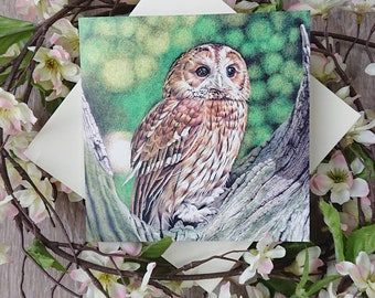 Tawny Owl blank greeting card, British wildlife card