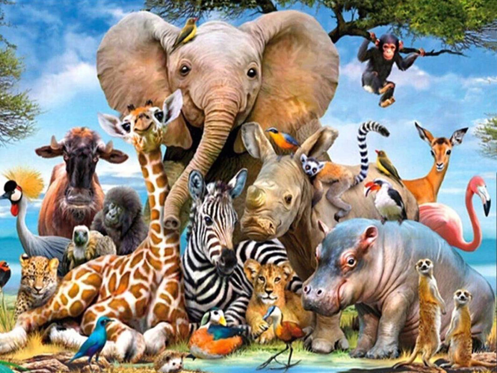 5D Diamond Painting Kit Zoo Painting Mosaic Art Paint with Etsy