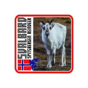 Svalbard Islands Decal / 3.5&quot; Sticker / Reindeer / Arctic / Norway / Spitsbergen / Premium / Matte Laminate / Travel / Car / Waterproof