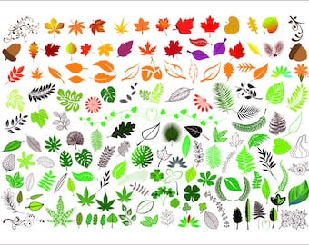 Leaves Svg Bundle, Leaf svg, Tropical leaves svg, monstera svg, svg files for cricut, clipart
