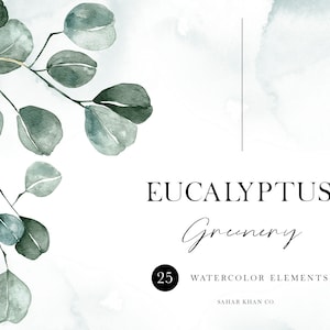 Watercolor Eucalyptus Greenery | Botanical Foliage Leaves | Floral Illustration Clipart | Wedding Invitation Card | PNG