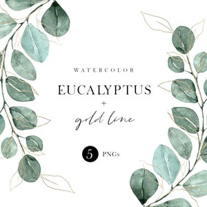 Watercolor Eucalyptus Clipart | Botanical Gold Line Art | Greenery Foliage | Wedding Invitation | Floral Leaves Illustrations | Art PNG