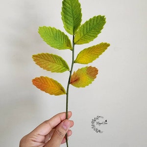 May include: A decorative botanical stem featuring seven serrated leaves with a gradient color transition from vibrant green at the top to yellow and orange at the base. The leaves have a textured surface and are attached to a thin, dark green stem.
