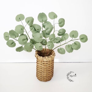 May include: A light green eucalyptus plant with rounded leaves on thin stems arranged in a cylindrical woven wicker basket. The plant features a soft texture and natural appearance. A small logo with the text Magical Flora is visible nearby.