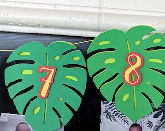 Monstera Monthly Milestone Banner - SVG - First Birthday - 12 Months of ...