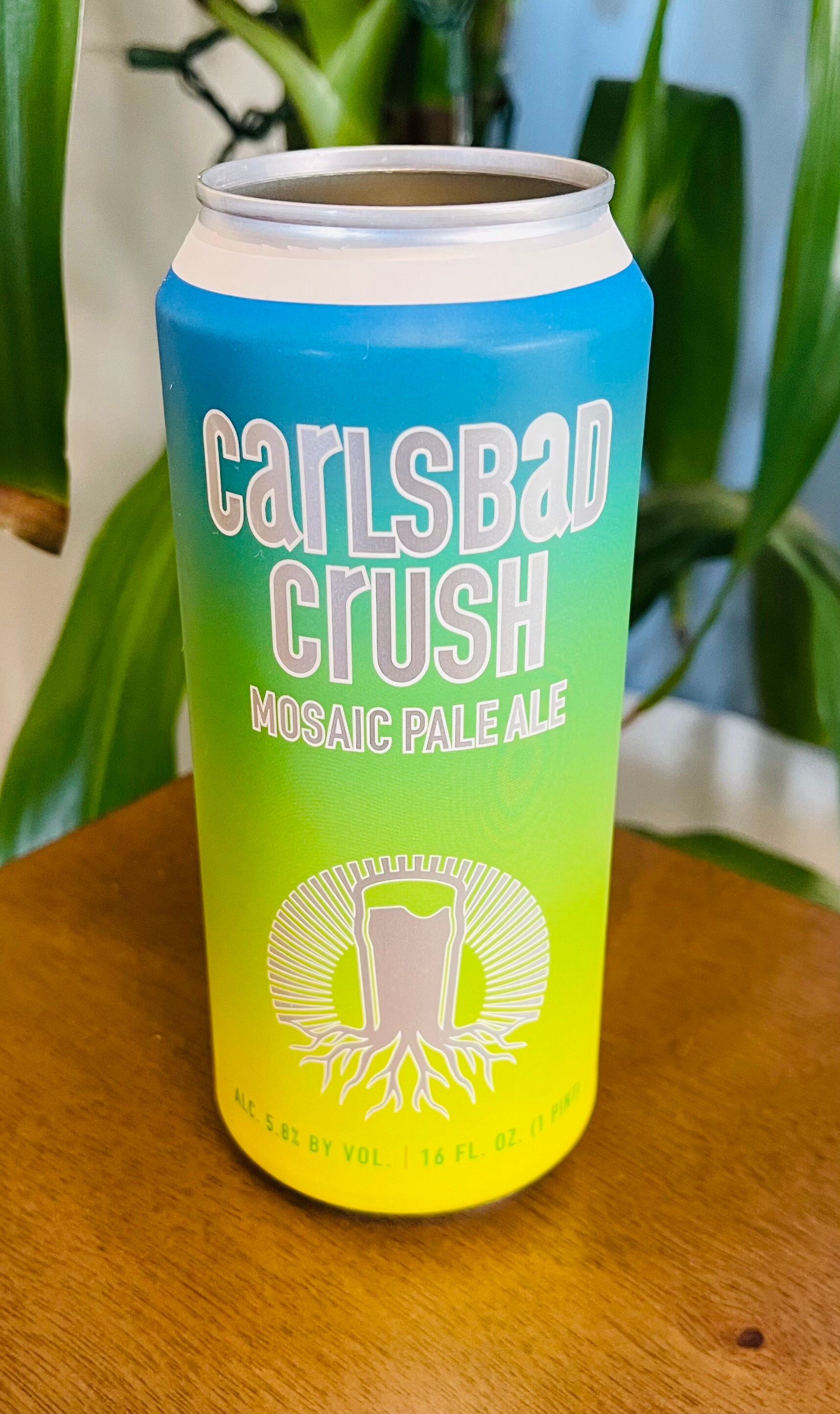 San Diego Breweries Beer Can Container Candles Etsy Canada