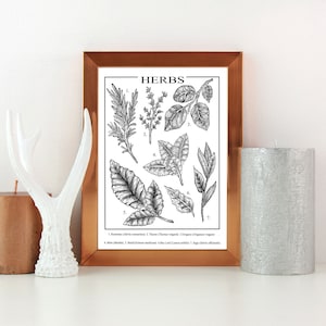 Impresión de cartas de hierbas botánicas, arte de pared, arte de línea, decoración del hogar,
