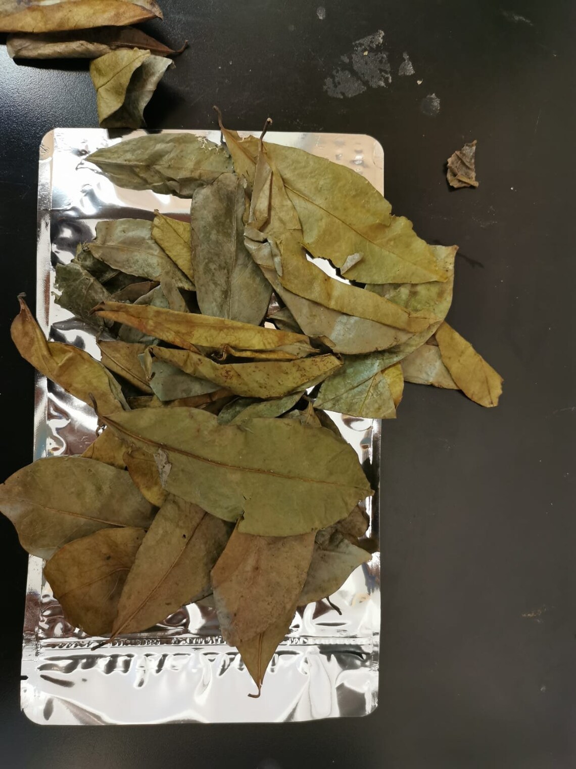 100 Dried Soursop Leaves Healthy Soursop Leaves Non GMO Etsy UK