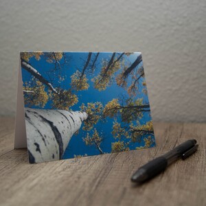 | de cartes de vœux du Colorado | des trembles carte de vœux vierge | carte de vœux d’automne | | de la carte de remerciement | de carte n’importe quelle occasion Carte avec enveloppe