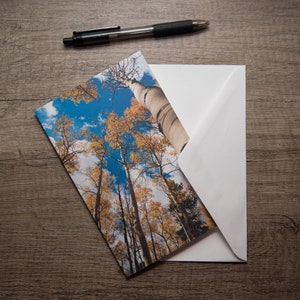 de paysage du Colorado | de voeux de ciel jaune de trembles | Col de Kenosha | de voeux vierge d'automne |  de remerciements | Carte Toute occasion