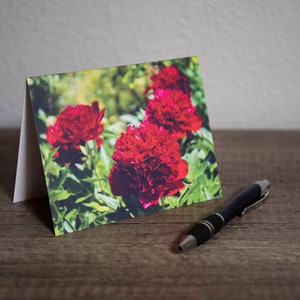 Blumen Grußkarte | Rote Pfingstrosen | Blanko Grußkarte | Blumenfotografie | Botanische Grußkarte | Danke-Karte | Jede Anlass-Karte