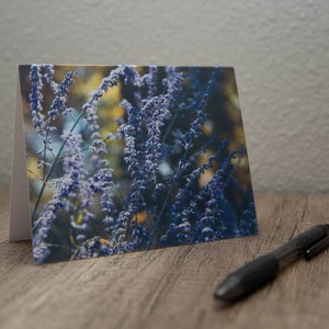 Colorado Grußkarte | Lavendel | Blanko Grußkarte | Blumen | Blumen Grußkarte | Danke-Karte | Jede Anlass-Karte | Bday Karte