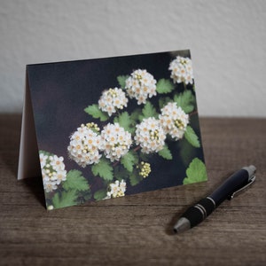 Bloemen wenskaart | Witte bloemen | Lege wenskaart | Bloemenfotografie | Botanische kaart | Bedankkaart | Elke gelegenheidskaart