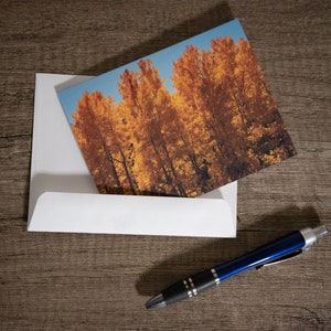 Colorado Landschaftskarte | Goldene Espen Grußkarte | Herbst Blanko Grußkarte |  Dankeskarte | Jede Anlasskarte | Wandern Vibes